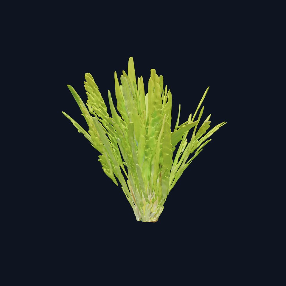 Vibrant Grass model pack